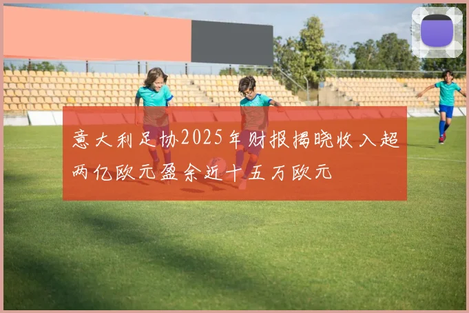 意大利足协2025年财报揭晓收入超两亿欧元盈余近十五万欧元